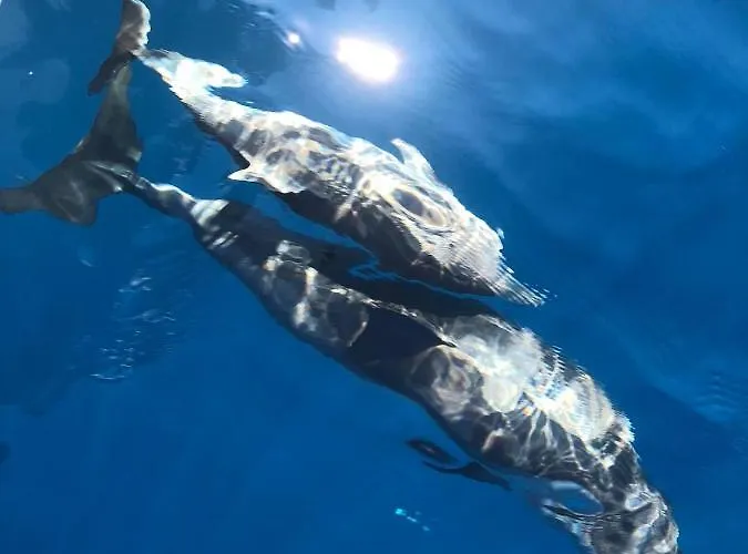 La Piazza Holiday home *