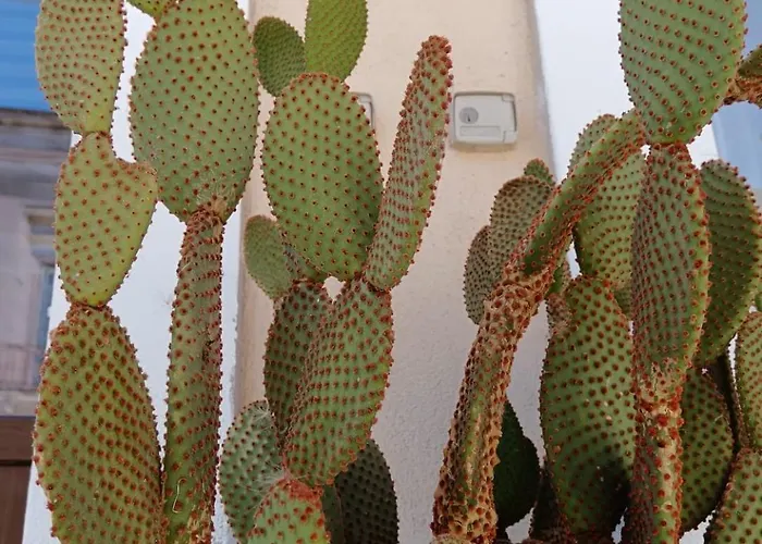 La Piazza * San Giorgio Ionico